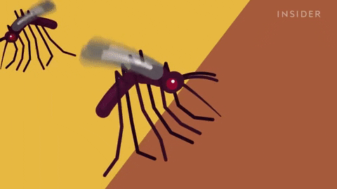 Mosquitoes kill hundreds of thousands of people each year by transmitting malaria and other diseases