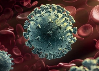 dot bien virus ncov 650