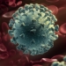 dot bien virus ncov 650