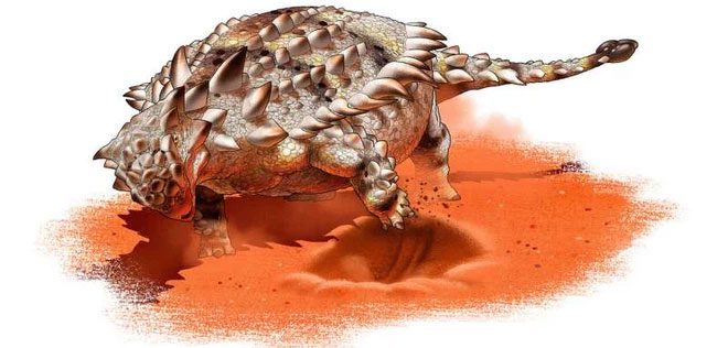Ankylosaurus with a club tail