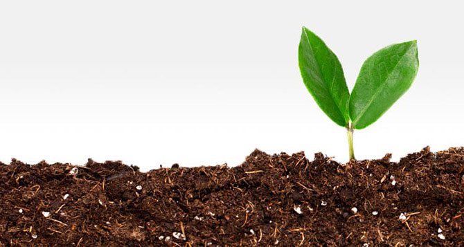 Most soil is brown due to carbon left behind by microorganisms.