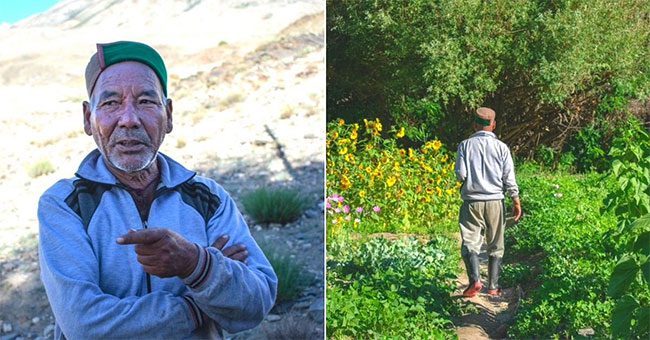 The man who spent two decades creating a green oasis in the frigid desert.