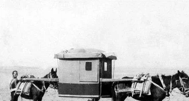 Two horses carrying a palanquin, one in front and one behind, looking very unusual.