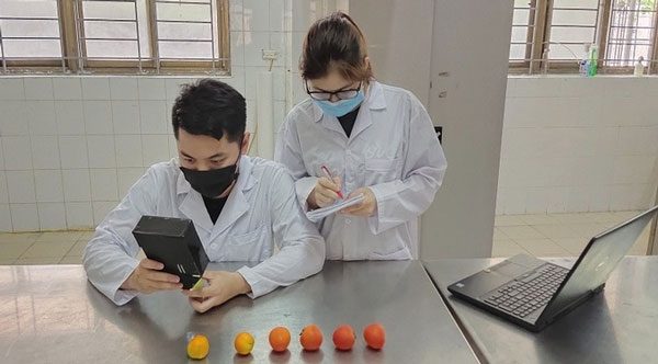 Team adjusting color parameters suitable for application programming