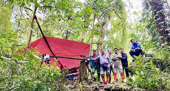 Scientists and Vũ Quang National Park staff during a research collaboration.