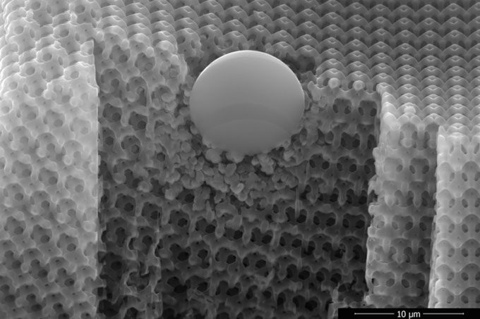 Microscale silicon dioxide projectile unable to penetrate the thinner-than-hair membrane from the new material.