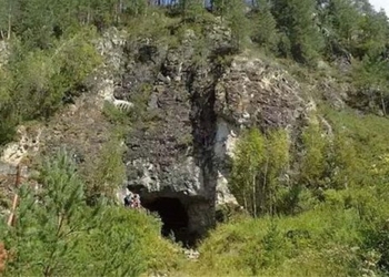 dong denisova 650
