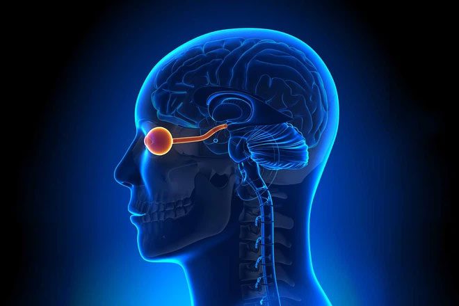 Pupil size is inversely correlated with age.