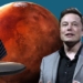 elon musk 650
