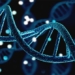 gene 650