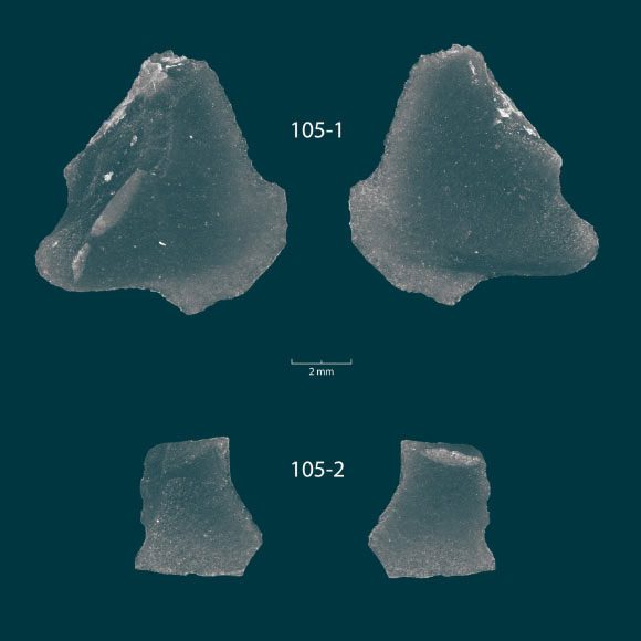 Two pieces of obsidian are two valuable ancient tools