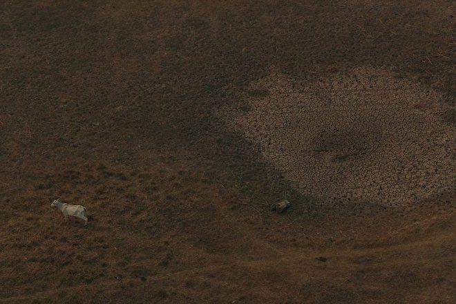 The lack of rain in Brazil has negatively impacted crop cultivation and livestock.
