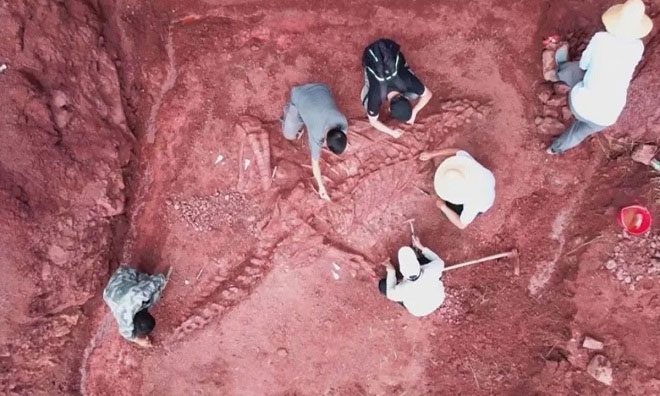 Chinese paleontologists have found a relatively complete dinosaur fossil.