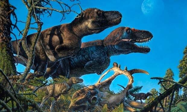 Recent research reveals that dinosaurs once lived "long-term" in the Arctic.