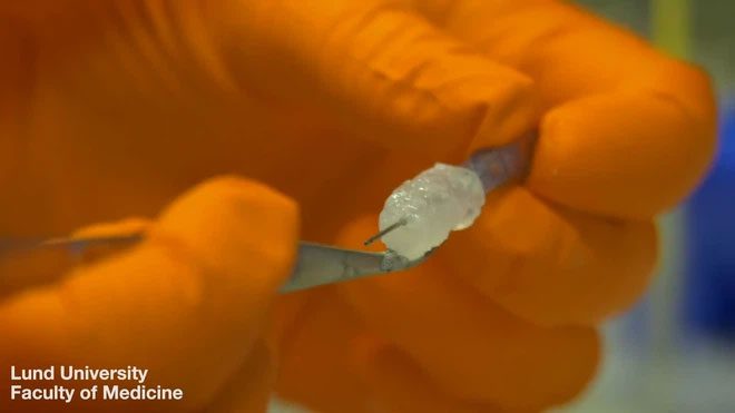 Researchers successfully use bioprinting ink to 3D print lung tissue.