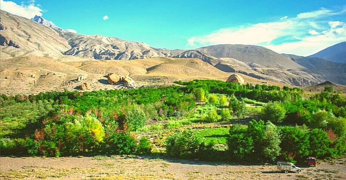 Green oasis in the desert