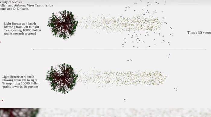 During peak periods, trees can release 1,500 pollen grains per m3 of air in a day.