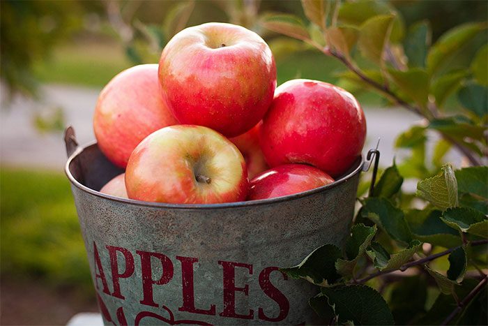 We should choose fresh, newly picked apples over those that have been stored for a long time.
