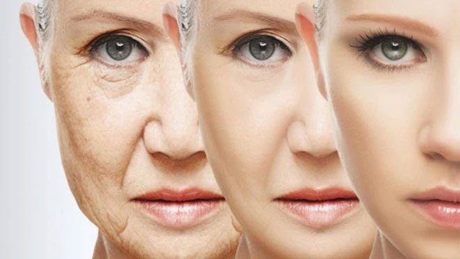 We may very well be unable to slow the aging process due to biological limitations.