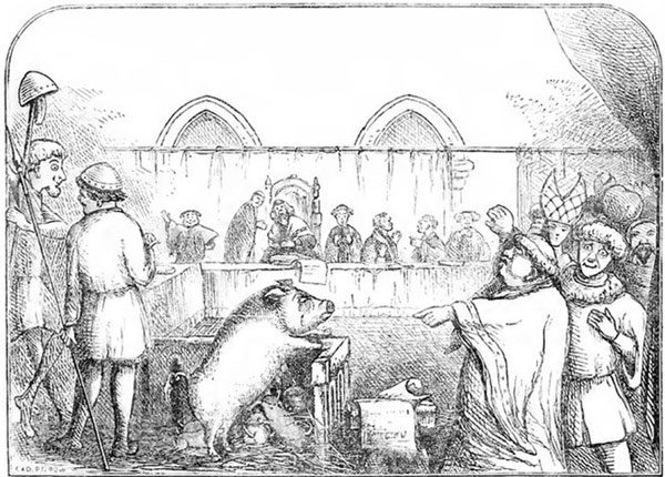 Animals Were Tried in the Middle Ages