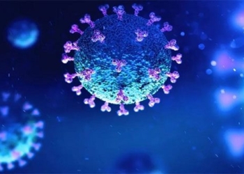 virus ncov 650