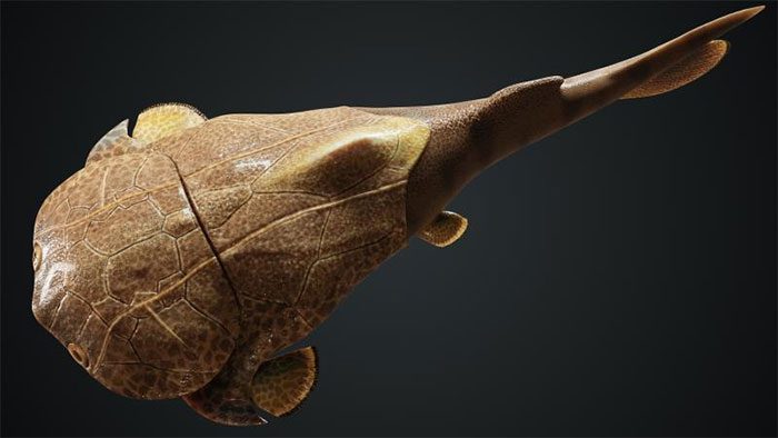 A 423-million-year-old fish fossil discovered in Chongqing