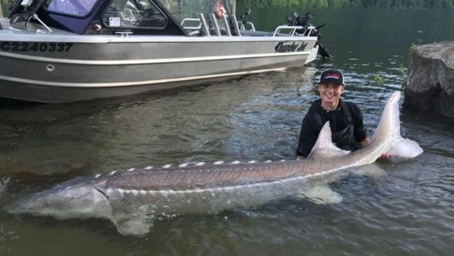 Bergen takes a photo with his catch.