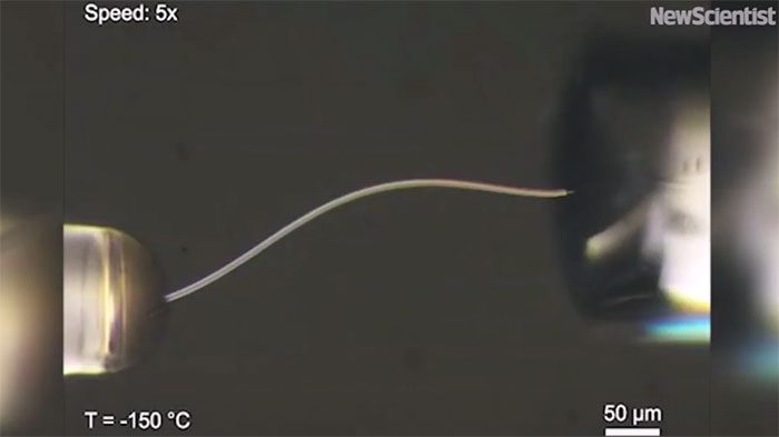 Pressure on the bent part of the fiber may have transformed the ice.