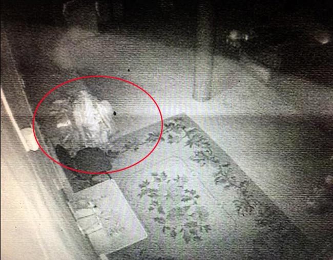 Surveillance footage shows a figure in the palace of Lama Dashi Dorzho.