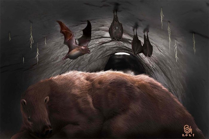 Vampire bat in the cave of a giant sloth