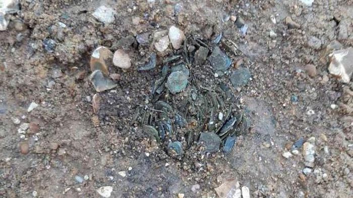 "Treasure" at the excavation site