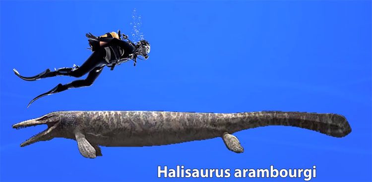 Halisaurus arambourgi