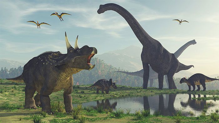 Herbivorous dinosaurs.