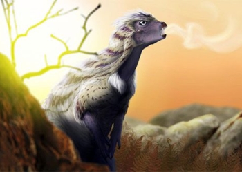 khung long Heterodontosaurus tucki 650