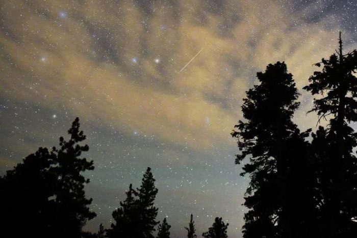 The Perseid meteors are remnants of comet 109P/Swift-Tuttle
