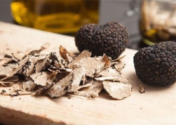 nam truffle 650