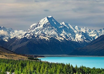 new zealand 650