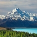 new zealand 650