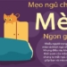 ngu voi meo 650