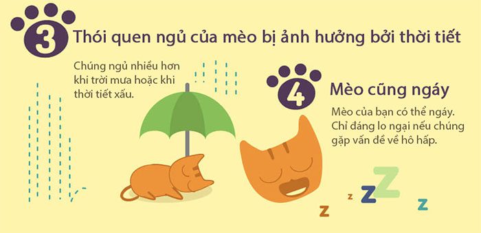 Cats are easy to care for.