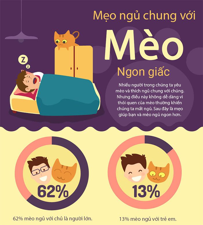 Tips for Sleeping with Cats