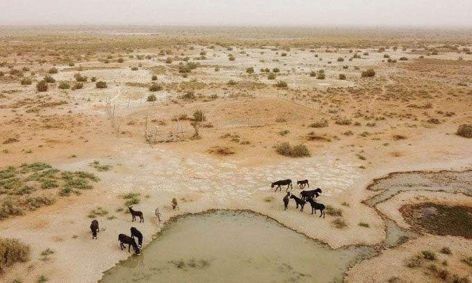 Molten salt nuclear reactors can be built in water-scarce deserts.