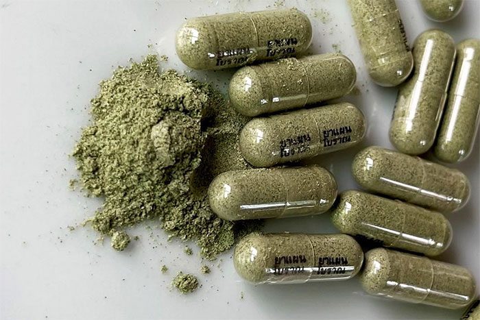The Andrographis paniculata capsule used in Thailand to support Covid-19 treatment.