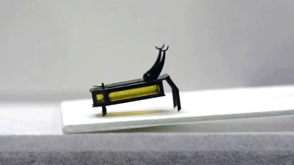 Robot can move on various terrains