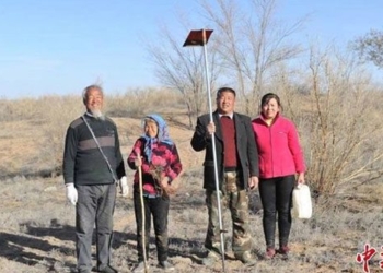 Wang Tianchang 650