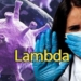 bien the lambda 650