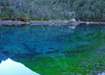 blue lake 650