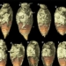 bo Triamyxa coprolithica 650