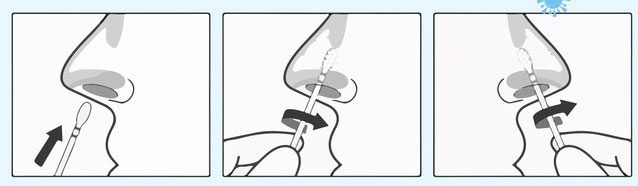 How to insert a nasal swab.