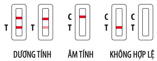 How to read the test result on the rapid test kit.